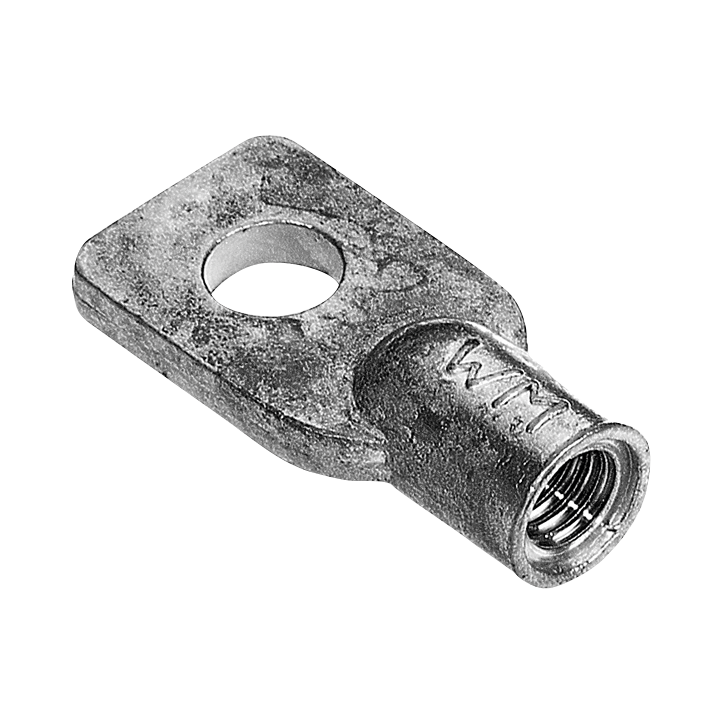 Image for web